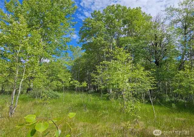 Photo 3 of Sale Pending at 111 Tbd Summer Rd, Tonasket, WA 98855 | MLS# NWM2563394 | Listing updated on 2026-08-23