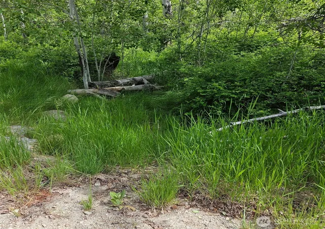 Photo 4 of Sale Pending at 111 Tbd Summer Rd, Tonasket, WA 98855 | MLS# NWM2563394 | Listing updated on 2026-08-23