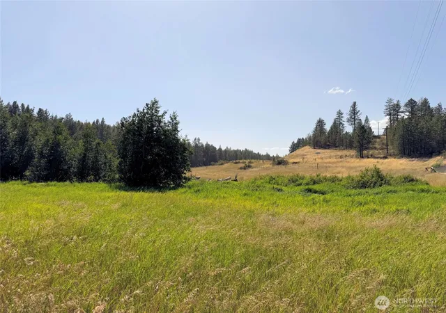 Land for sale at 1 Miles/creston Rd E, Creston, WA 99117 | MLS# NWM2563496