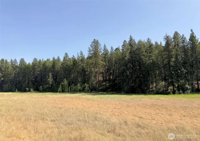 Photo 2 of Land for sale at 1 Miles/creston Rd E, Creston, WA 99117 | MLS# NWM2563496 | Listing updated on 2026-09-23