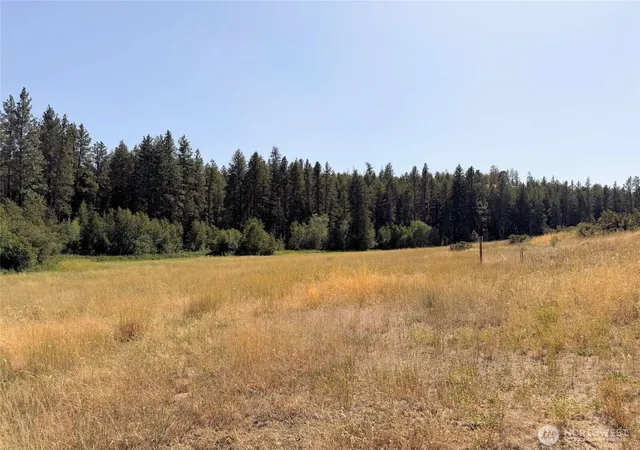 Photo 3 of Land for sale at 1 Miles/creston Rd E, Creston, WA 99117 | MLS# NWM2563496 | Listing updated on 2026-09-23