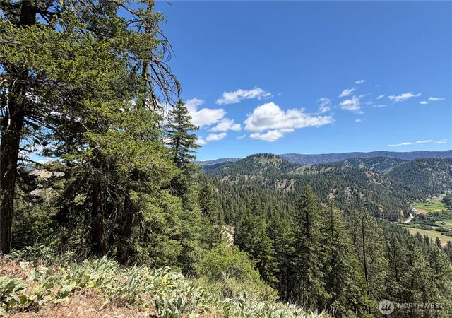 Photo 4 of Land for sale at 16100 Chumstick Hwy, Leavenworth, WA 98826 | MLS# NWM2563536 | Listing updated on 2026-09-23