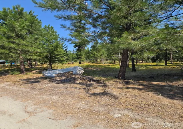 Photo 4 of Single family home for sale at 15 Appaloosa Rd, Tonasket, WA 98855 | MLS# NWM2563624 | Listing updated on 2026-09-23