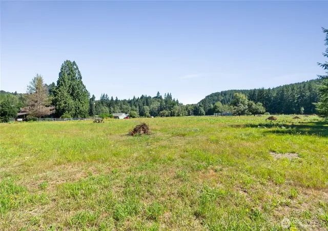Photo 3 of Land for sale at 38 Ray Rd, Elma, WA 98541 | MLS# NWM2563632 | Listing updated on 2026-09-23