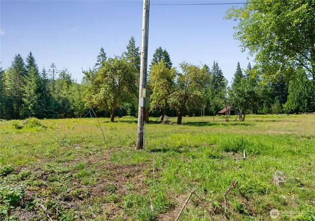 Photo 4 of Land for sale at 38 Ray Rd, Elma, WA 98541 | MLS# NWM2563632 | Listing updated on 2026-09-23