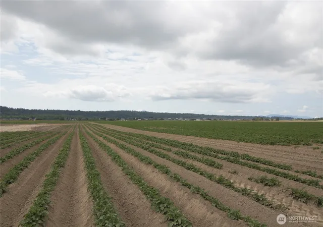 Land for sale at 0 Downey Rd, Mount Vernon, WA 98273 | MLS# NWM2563719