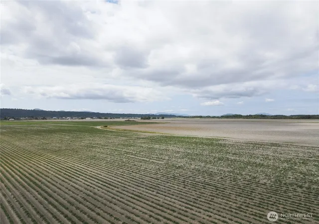 Photo 2 of Land for sale at 0 Downey Rd, Mount Vernon, WA 98273 | MLS# NWM2563719 | Listing updated on 2026-09-29
