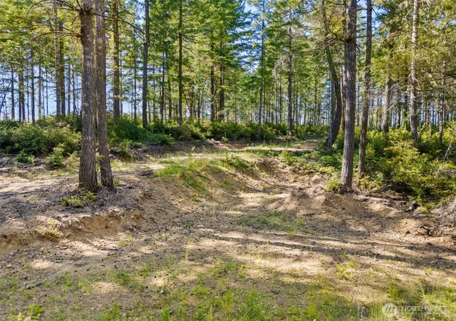 Photo 2 of Land for sale at 0 E Tr3 Mason Lake Rd, Grapeview, WA 98546 | MLS# NWM2563804 | Listing updated on 2026-09-23