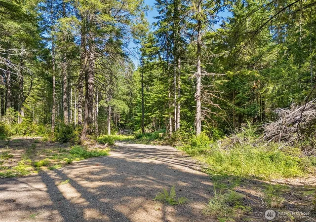 Photo 3 of Land for sale at 0 E Tr3 Mason Lake Rd, Grapeview, WA 98546 | MLS# NWM2563804 | Listing updated on 2026-09-23