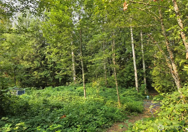 Photo 2 of Land for sale at 23904 E Lot 8 Lake Kayak Dr, Monroe, WA 98272 | MLS# NWM2563810 | Listing updated on 2026-09-23