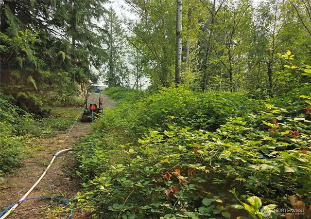 Photo 3 of Land for sale at 23904 E Lot 8 Lake Kayak Dr, Monroe, WA 98272 | MLS# NWM2563810 | Listing updated on 2026-09-23