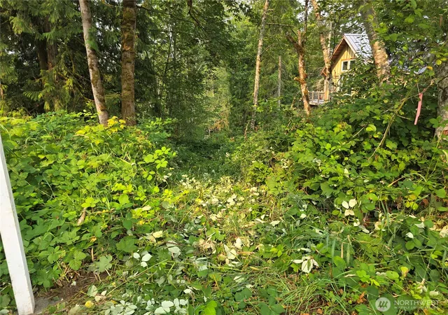 Photo 3 of Land for sale at 23904 E Lot 8 Lake Kayak Dr, Monroe, WA 98272 | MLS# NWM2563810 | Listing updated on 2026-09-23