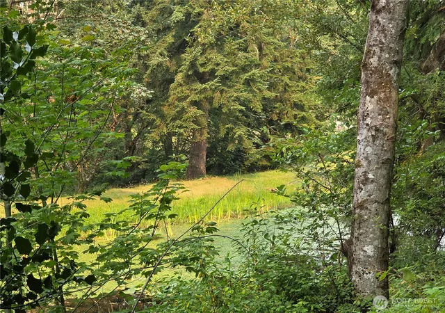 Photo 4 of Land for sale at 23904 E Lot 8 Lake Kayak Dr, Monroe, WA 98272 | MLS# NWM2563810 | Listing updated on 2026-09-23