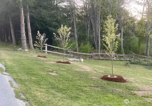 Photo 3 of Sale Pending at 800 Lawson Rd, Camano Island, WA 98282 | MLS# NWM2563822 | Listing updated on 2026-09-25