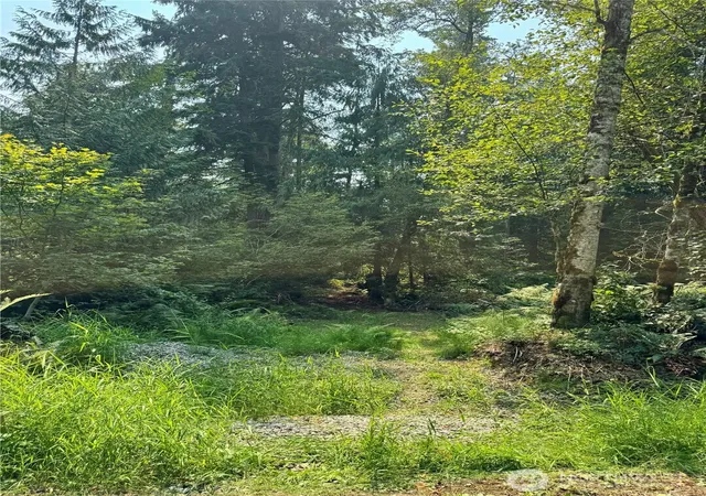 Photo 3 of Land for sale at 28301 Se 43rd Street, Fall City, WA 98024 | MLS# NWM2563830 | Listing updated on 2026-09-23