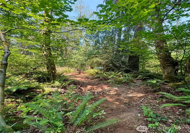 Photo 3 of Land for sale at 28301 SE 43rd Street, Fall City, WA 98024 | MLS# NWM2563830 | Listing updated on 2026-09-23