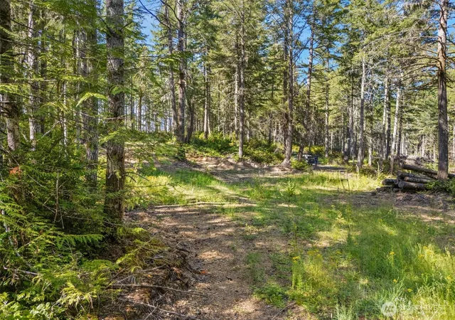 Photo 1 of Land for sale at 0 E Tr4 Mason Lake Rd, Grapeview, WA 98546 | MLS# NWM2563863 | Listing updated on 2026-09-23