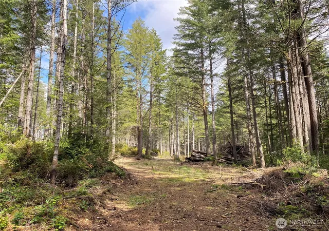 Photo 2 of Land for sale at 0 E Tr4 Mason Lake Rd, Grapeview, WA 98546 | MLS# NWM2563863 | Listing updated on 2026-09-23