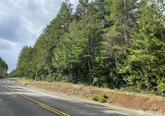 Photo 3 of Land for sale at 0 E Tr4 Mason Lake Rd, Grapeview, WA 98546 | MLS# NWM2563863 | Listing updated on 2026-09-23
