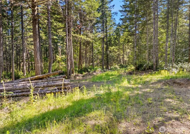 Photo 4 of Land for sale at 0 E Tr4 Mason Lake Rd, Grapeview, WA 98546 | MLS# NWM2563863 | Listing updated on 2026-09-23