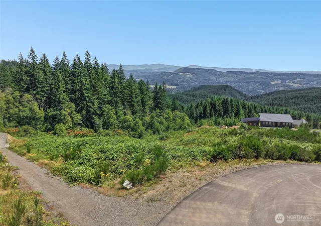Photo 3 of Land for sale at 218 High Bank Ln, Woodland, WA 98674 | MLS# NWM2563880 | Listing updated on 2026-09-23