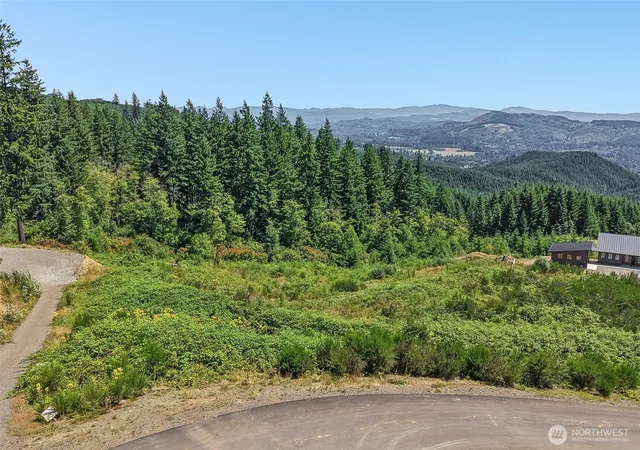 Photo 3 of Land for sale at 218 High Bank Ln, Woodland, WA 98674 | MLS# NWM2563880 | Listing updated on 2026-09-23