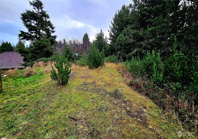 Photo 1 of Land for sale at 30514 K Pl, Ocean Park, WA 98640 | MLS# NWM2563941 | Listing updated on 2026-09-23