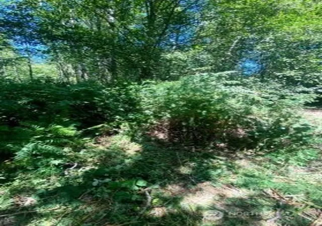 Photo 4 of Land for sale at 166 SE Xx 51st Ave, Bothell, WA 98012 | MLS# NWM2564118 | Listing updated on 2026-09-23