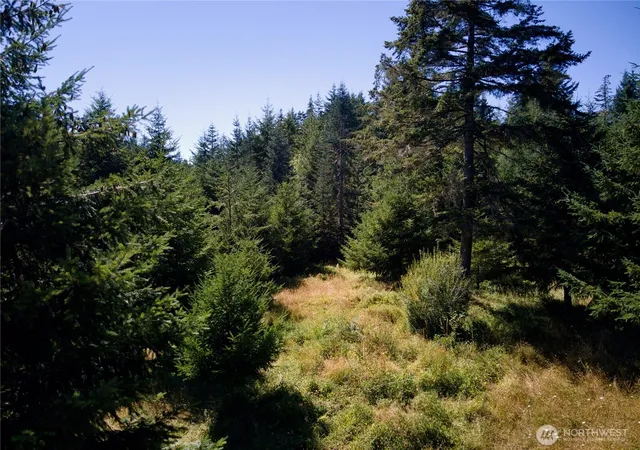 Photo 2 of Land for sale at 0 E Pcl 5 Scarlet Rd, Shelton, WA 98584 | MLS# NWM2564255 | Listing updated on 2026-09-23