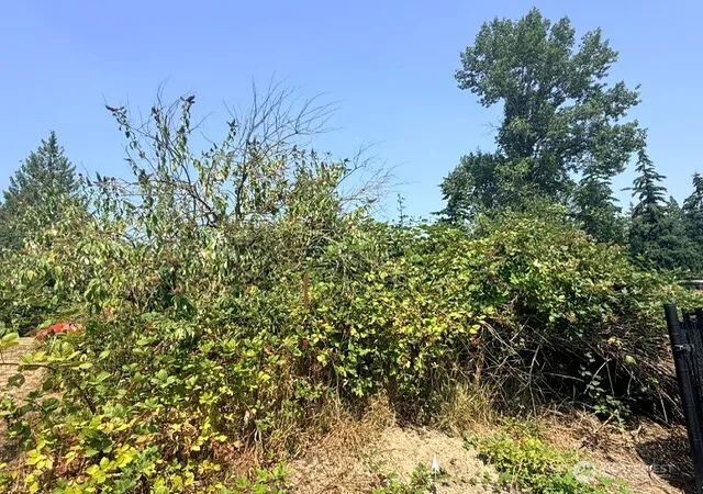 Photo 2 of Land for sale at 0 50th Avenue S, Auburn, WA 98001 | MLS# NWM2564261 | Listing updated on 2026-09-23