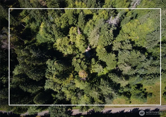Photo 1 of Land for sale at 0 E Pcl 2 Scarlet Rd, Shelton, WA 98584 | MLS# NWM2564283 | Listing updated on 2026-09-23