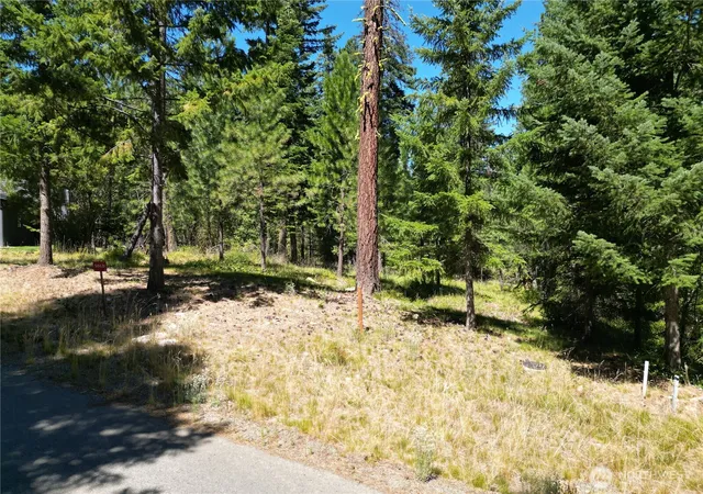 Photo 3 of Land for sale at 0 Lot 23 Old Grv Trl, Cle Elum, WA 98922 | MLS# NWM2564315 | Listing updated on 2026-09-23
