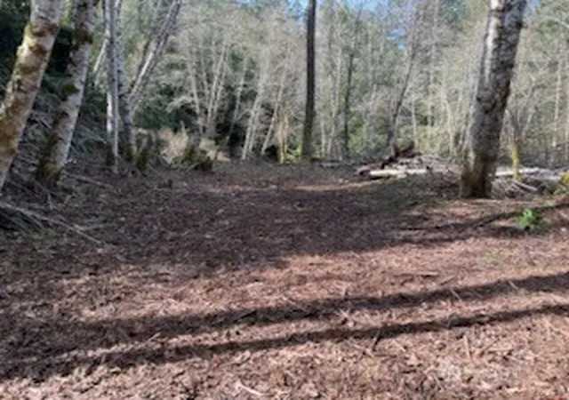 Photo 1 of Land for sale at 61 E Woods Pl, Belfair, WA 98528 | MLS# NWM2564356 | Listing updated on 2026-09-23