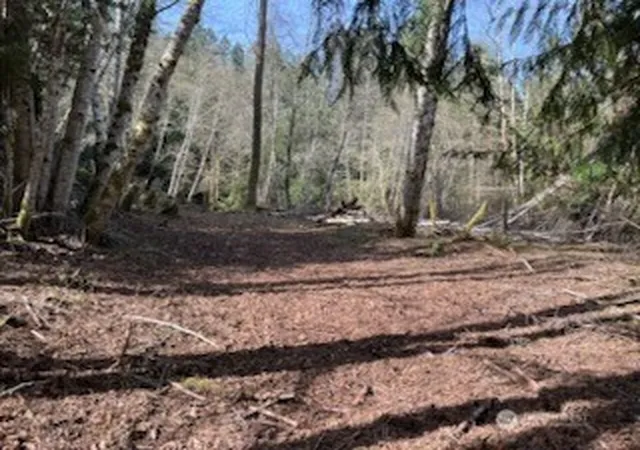 Photo 3 of Land for sale at 61 E Woods Pl, Belfair, WA 98528 | MLS# NWM2564356 | Listing updated on 2026-09-23
