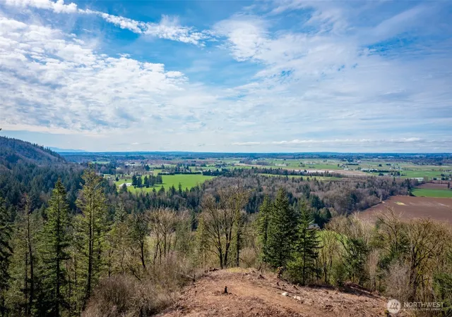Photo 1 of Land for sale at 48 Xx Reese Hl Rd, Sumas, WA 98295 | MLS# NWM2564371 | Listing updated on 2026-09-24