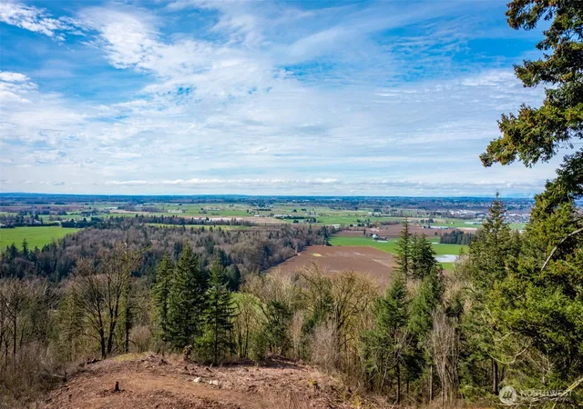 Photo 3 of Land for sale at 48 Xx Reese Hl Rd, Sumas, WA 98295 | MLS# NWM2564371 | Listing updated on 2026-09-24