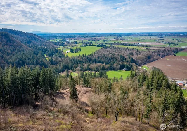 Photo 3 of Land for sale at 48 Xx Reese Hl Rd, Sumas, WA 98295 | MLS# NWM2564371 | Listing updated on 2026-09-24