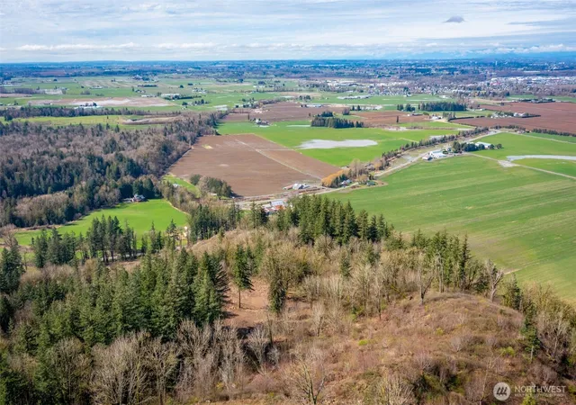 Photo 4 of Land for sale at 48 Xx Reese Hl Rd, Sumas, WA 98295 | MLS# NWM2564371 | Listing updated on 2026-09-24