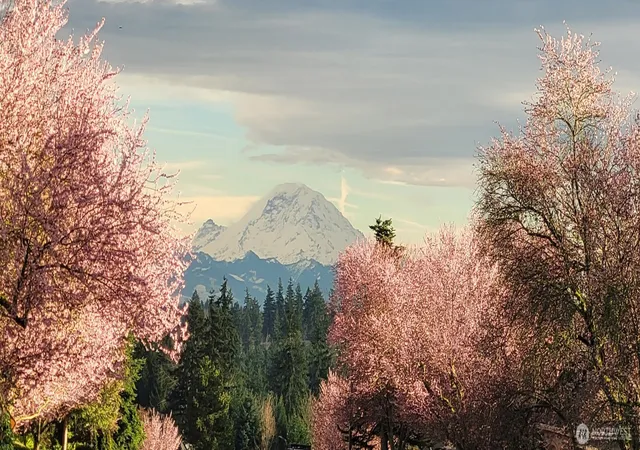 Photo 3 of Land for sale at 0 84xx 129th Pl Se, Newcastle, WA 98056 | MLS# NWM2564417 | Listing updated on 2026-09-28