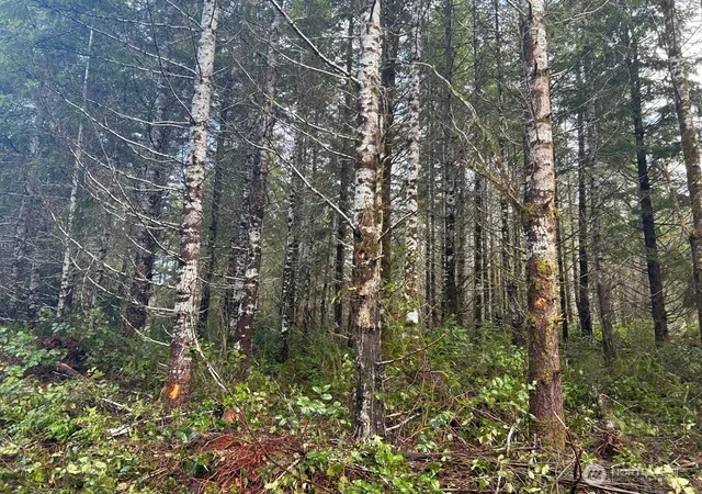 Photo 1 of Sale Pending at (Undisclosed), Shelton, WA 98584 | MLS# NWM2564505 | Listing updated on 2026-09-25