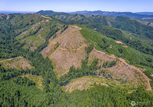Photo 4 of Land for sale at 1 State Route 401, Chinook, WA 98614 | MLS# NWM2564618 | Listing updated on 2026-09-23