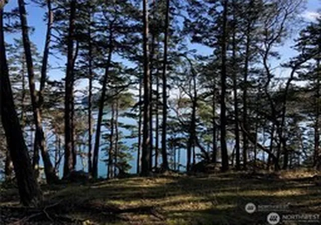 Photo 3 of Land for sale at 1 Lot Thatcher Pass Rd, Decatur Island, WA 98221 | MLS# NWM2564769 | Listing updated on 2026-09-23