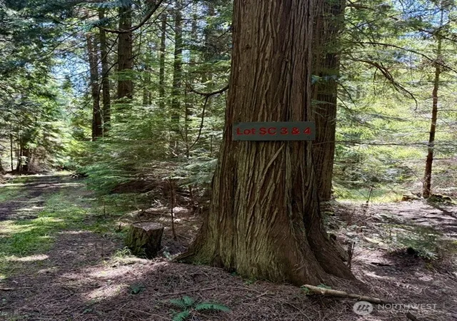 Photo 2 of Land for sale at 3 Lot Fauntleroy Point Dr, Decatur Island, WA 98221 | MLS# NWM2564781 | Listing updated on 2026-09-23