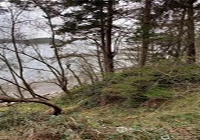 Photo 3 of Land for sale at 3 Lot Fauntleroy Point Dr, Decatur Island, WA 98221 | MLS# NWM2564781 | Listing updated on 2026-09-23