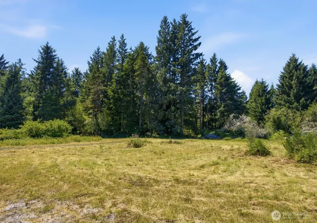 Photo 1 of Land for sale at 9905 Sandridge Rd, Long Beach, WA 98631 | MLS# NWM2564798 | Listing updated on 2026-09-23