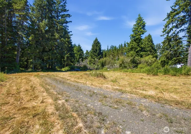Photo 3 of Land for sale at 9905 Sandridge Rd, Long Beach, WA 98631 | MLS# NWM2564798 | Listing updated on 2026-09-23