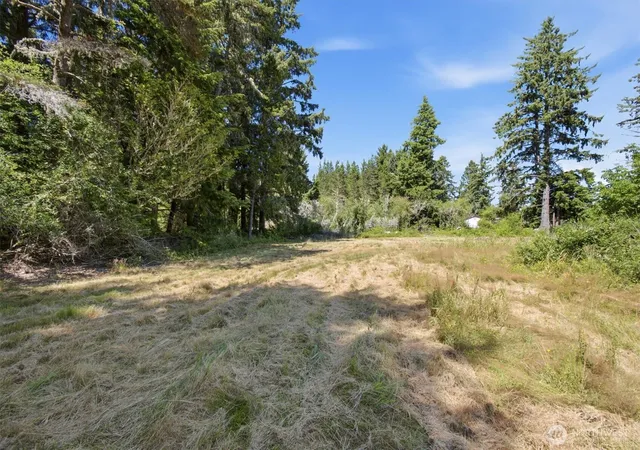 Photo 3 of Land for sale at 9905 Sandridge Rd, Long Beach, WA 98631 | MLS# NWM2564798 | Listing updated on 2026-09-23