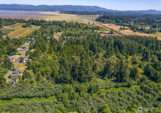 Photo 4 of Land for sale at 9905 Sandridge Rd, Long Beach, WA 98631 | MLS# NWM2564798 | Listing updated on 2026-09-23