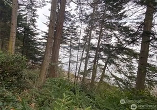 Photo 3 of Land for sale at 4 Lot Fauntleroy Point Rd, Decatur Island, WA 98221 | MLS# NWM2564802 | Listing updated on 2026-09-23