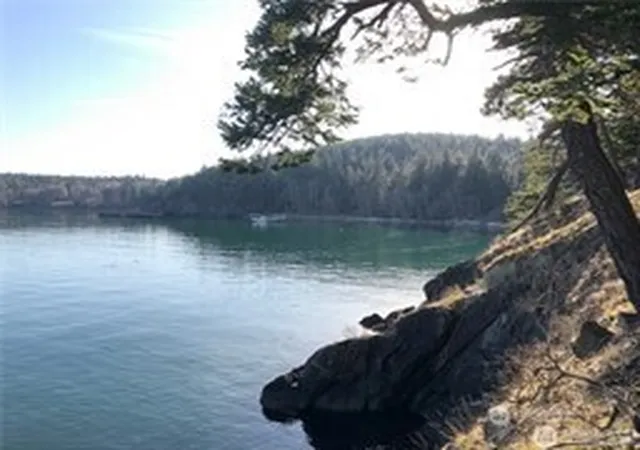 Photo 1 of Land for sale at 5 Lot Fauntleroy Point Rd, Decatur Island, WA 98221 | MLS# NWM2564806 | Listing updated on 2026-09-23